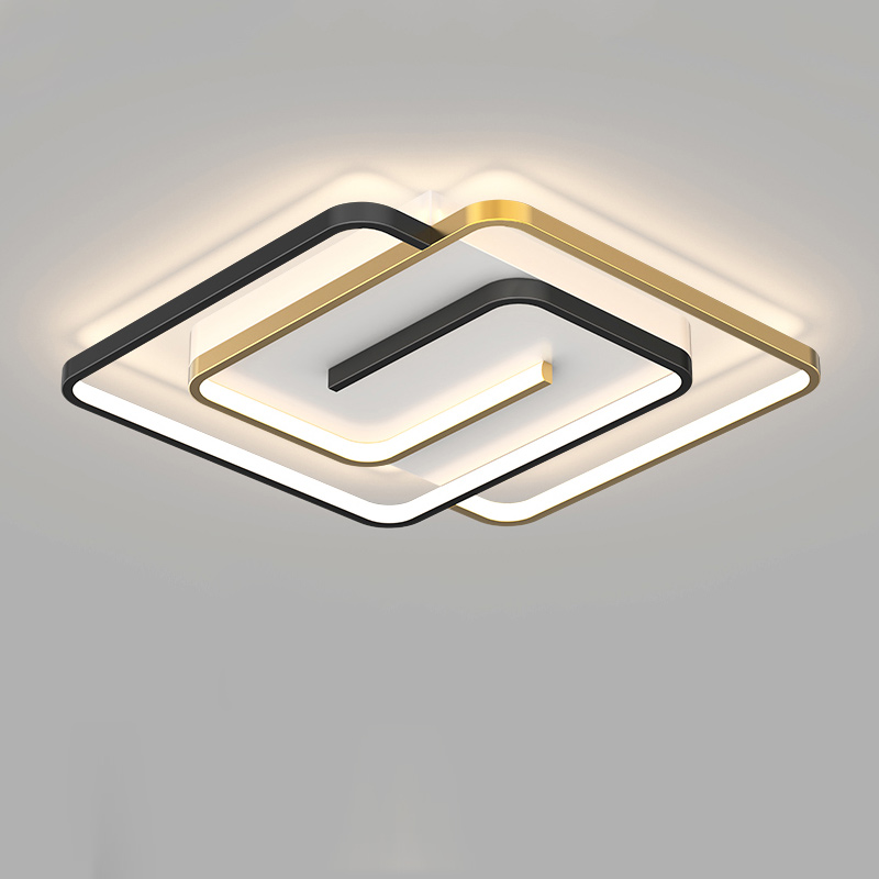 Modern Luxury Ceiling Light Fixtures
