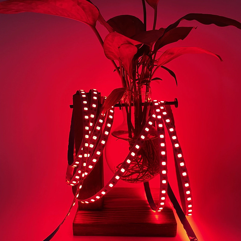 Flexible led neon strip lights 12V/5V